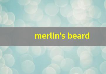 merlin's beard